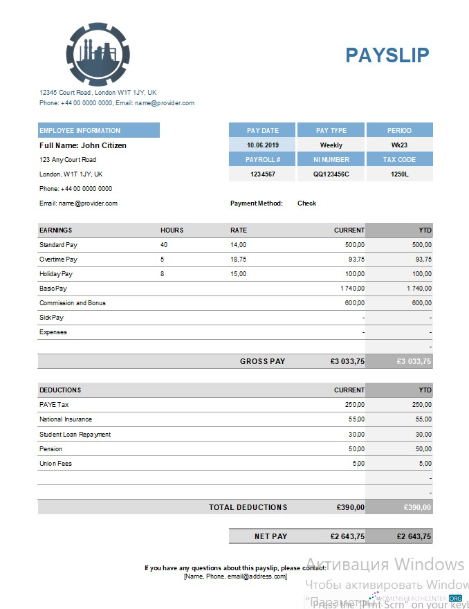 Download Chemical company payslip template in Excel and PDF formats Photoshop template